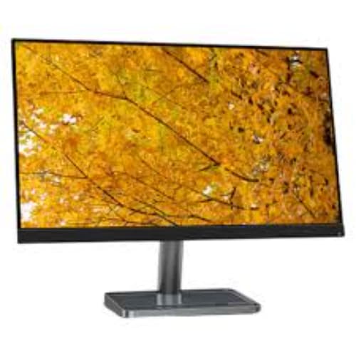 Lenovo L24i-30 23.8" FHD IPS 100Hz Monitor