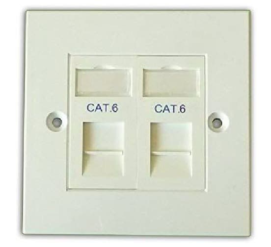 Systemax Double Gang Face Plate