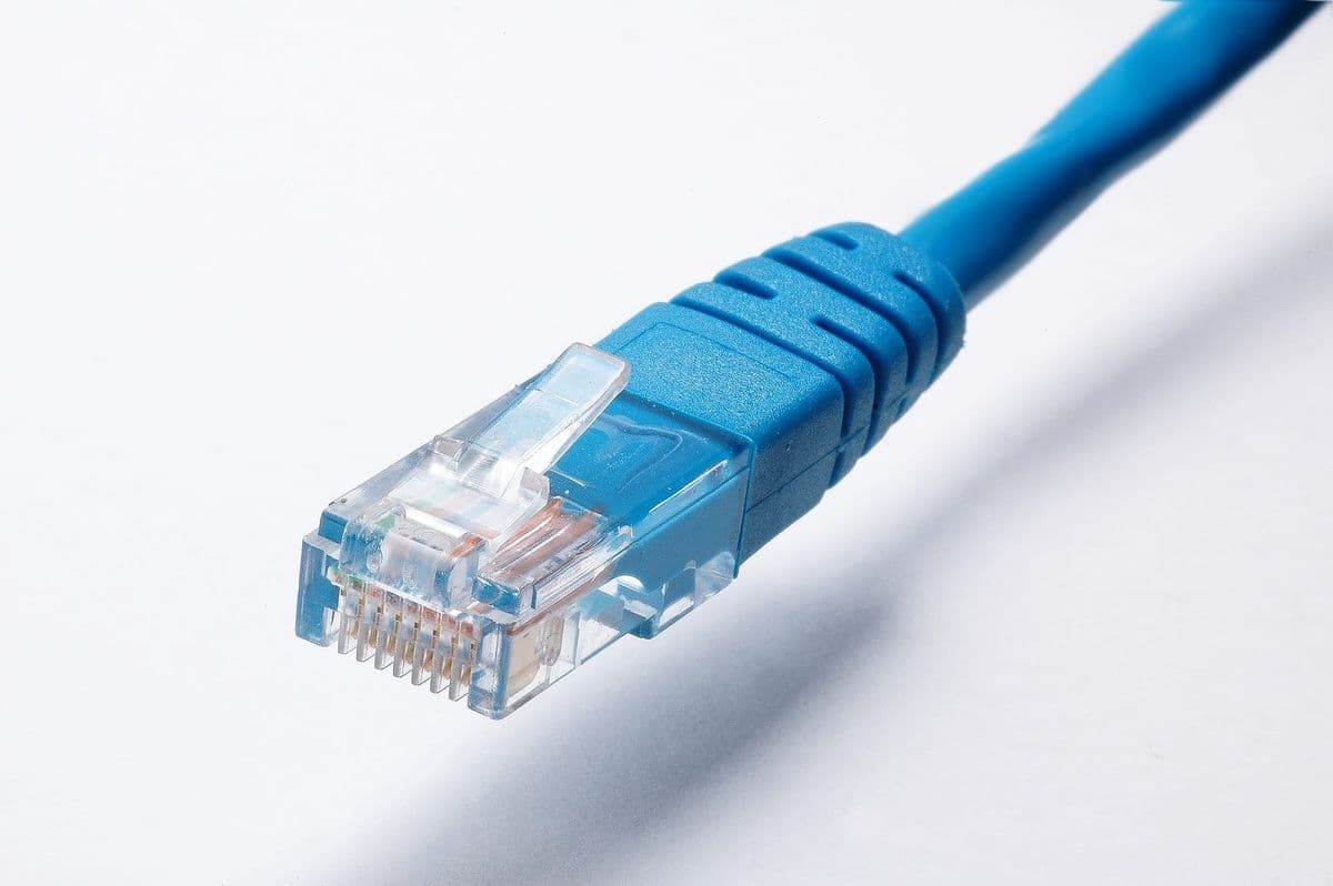 TP-Link Cat 6 Ethernet Cable