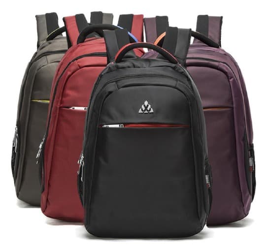 Biaowang BW-1313 Laptop Backpack